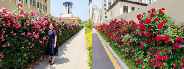 5.22 物业服务 合1.png